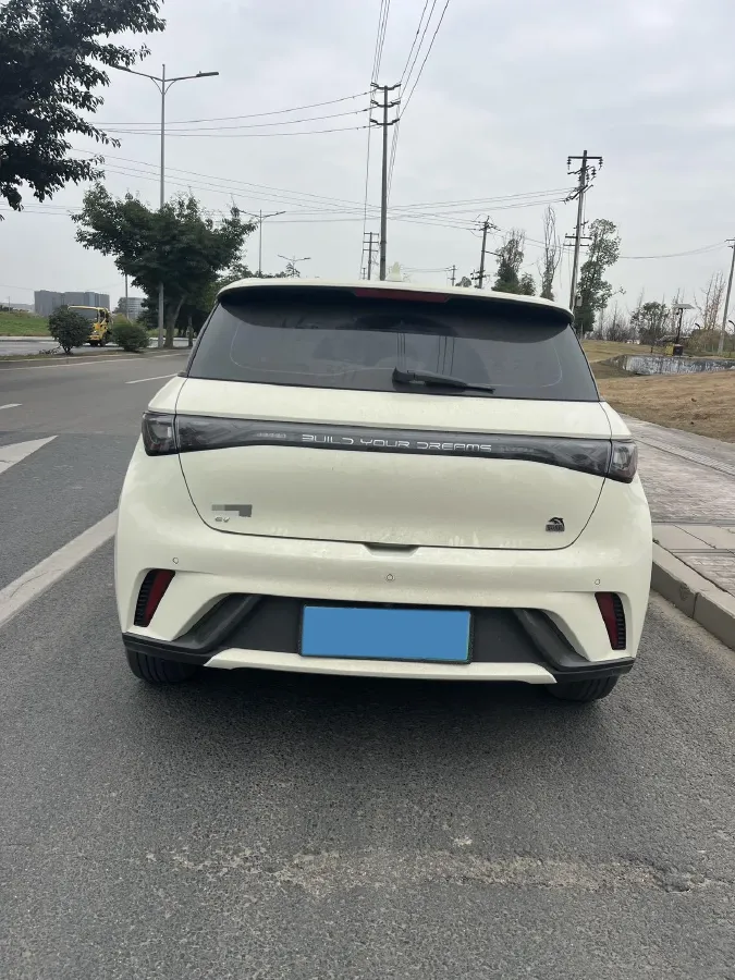 2023 BYD Dolphin BEV 44.928KWH,autocango,china used car exporter,china ev exporter,chinese used car exporter,chinese used ev exporter