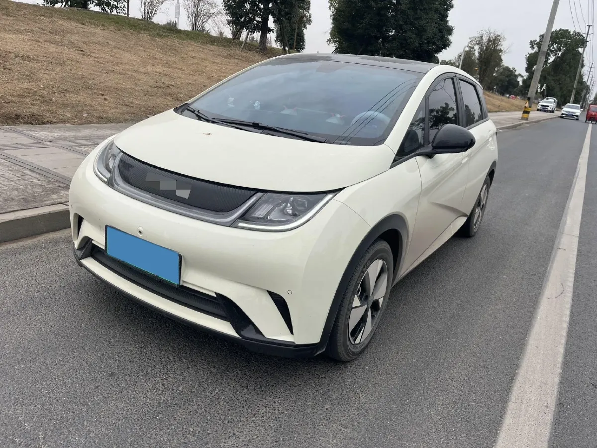 2023 BYD Dolphin BEV 44.928KWH,autocango,china used car exporter,china ev exporter,chinese used car exporter,chinese used ev exporter