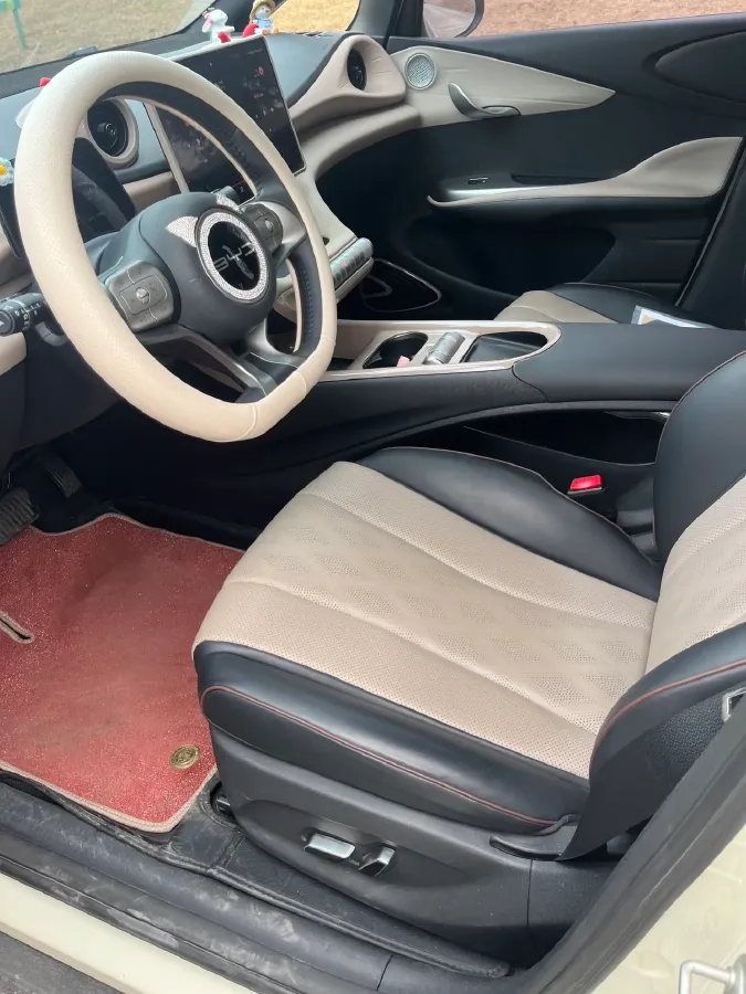 2023 BYD Dolphin BEV 44.928KWH,autocango,china used car exporter,china ev exporter,chinese used car exporter,chinese used ev exporter