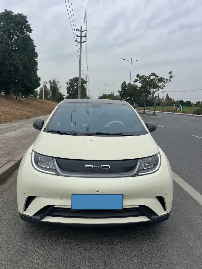 2023 BYD Dolphin BEV 44.928KWH,autocango,china used car exporter,china ev exporter,chinese used car exporter,chinese used ev exporter