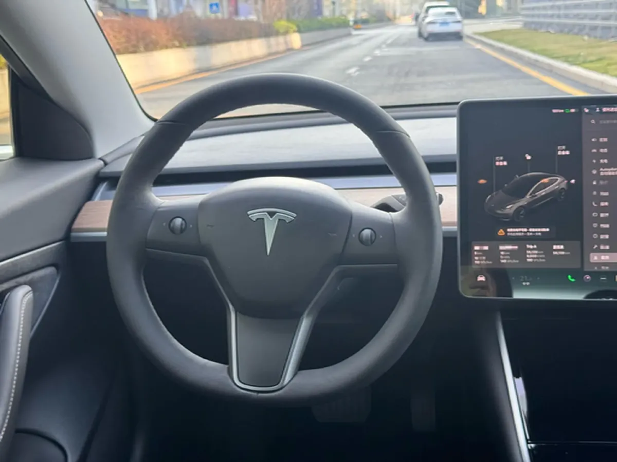 2021 Tesla Model 3 BEV 55KWH,autocango,china used car exporter,china ev exporter,chinese used car exporter,chinese used ev exporter