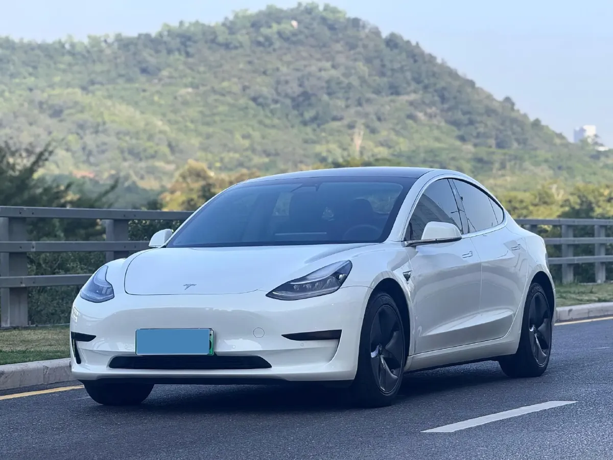 2021 Tesla Model 3 BEV 55KWH,autocango,china used car exporter,china ev exporter,chinese used car exporter,chinese used ev exporter