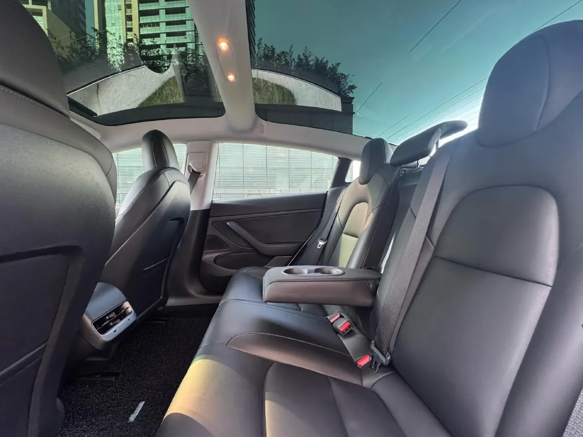 2021 Tesla Model 3 BEV 55KWH,autocango,china used car exporter,china ev exporter,chinese used car exporter,chinese used ev exporter