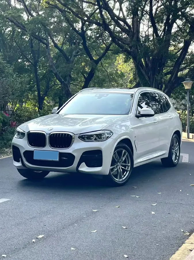 2020 BMW X3 2.0T 184HP L4 8AT,autocango,china used car exporter,china ev exporter,chinese used car exporter,chinese used ev exporter