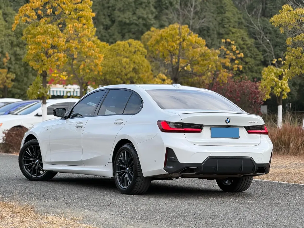 2023 BMW 3 Series 2.0T 184HP L4 8AT,autocango,china used car exporter,china ev exporter,chinese used car exporter,chinese used ev exporter