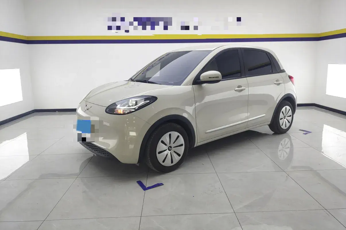 2023 WuLing BinGuo BEV 17.3KWH