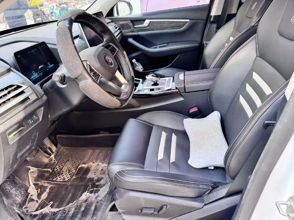 2019 BYD Qin Pro BEV 69.5KWH,autocango,china used car exporter,china ev exporter,chinese used car exporter,chinese used ev exporter