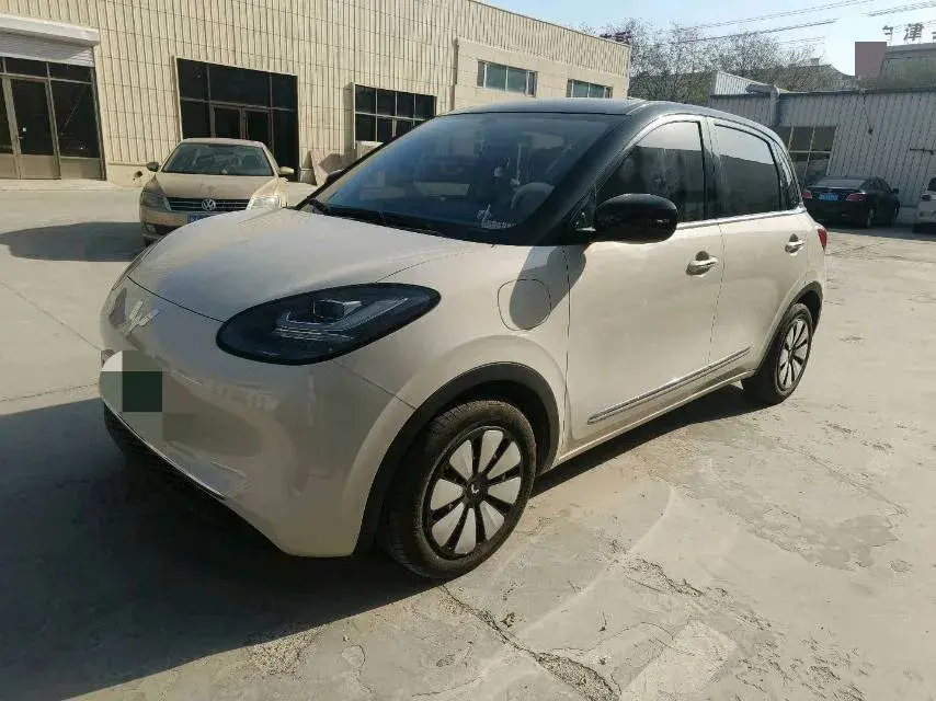 2024 WuLing BinGuo BEV 31.9KWH