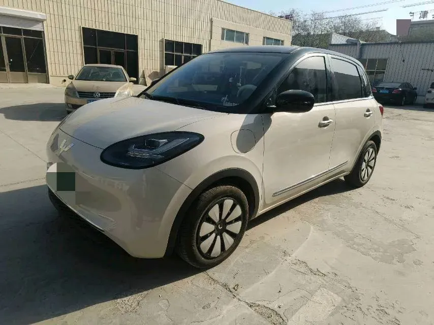 2024 WuLing BinGuo BEV 31.9KWH,autocango,china used car exporter,china ev exporter,chinese used car exporter,chinese used ev exporter