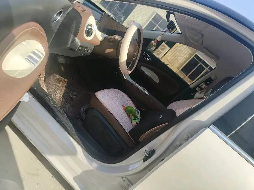 2024 WuLing BinGuo BEV 31.9KWH,autocango,china used car exporter,china ev exporter,chinese used car exporter,chinese used ev exporter