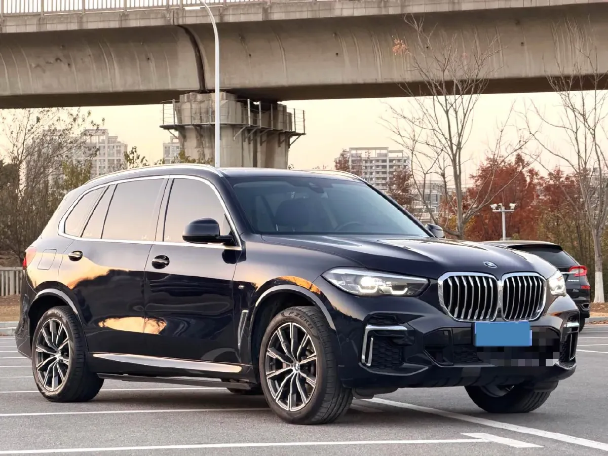 2022 BMW X5 2.0T 245HP L4 8AT,autocango,china used car exporter,china ev exporter,chinese used car exporter,chinese used ev exporter