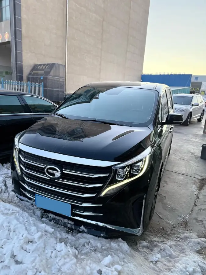 2021 GAC Trumpchi M8 2.0T 252HP L4 8AT