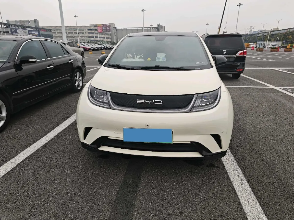 2023 BYD Dolphin BEV 44.928KWH,autocango,china used car exporter,china ev exporter,chinese used car exporter,chinese used ev exporter