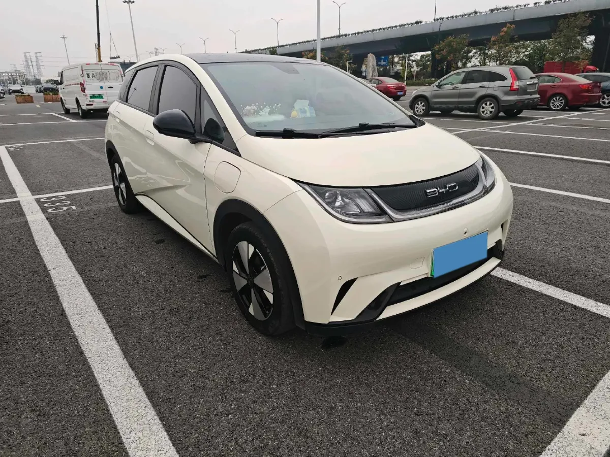 2023 BYD Dolphin BEV 44.928KWH,autocango,china used car exporter,china ev exporter,chinese used car exporter,chinese used ev exporter