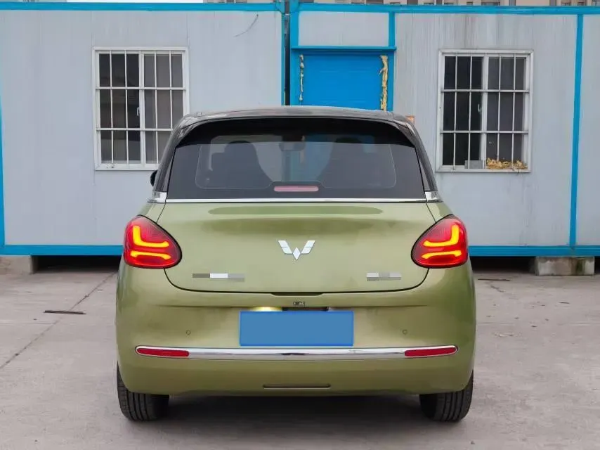 2023 WuLing BinGuo BEV 37.9KWH,autocango,china used car exporter,china ev exporter,chinese used car exporter,chinese used ev exporter