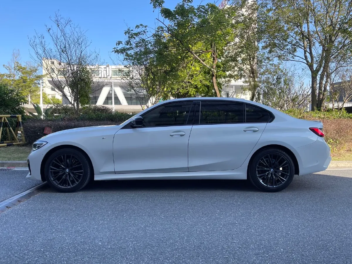 2020 BMW 3 Series 2.0T 184HP L4 8AT,autocango,china used car exporter,china ev exporter,chinese used car exporter,chinese used ev exporter