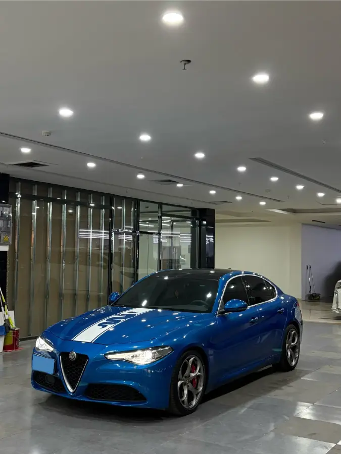 2017 Ford Mustang 2.3T 314HP L4 6AT