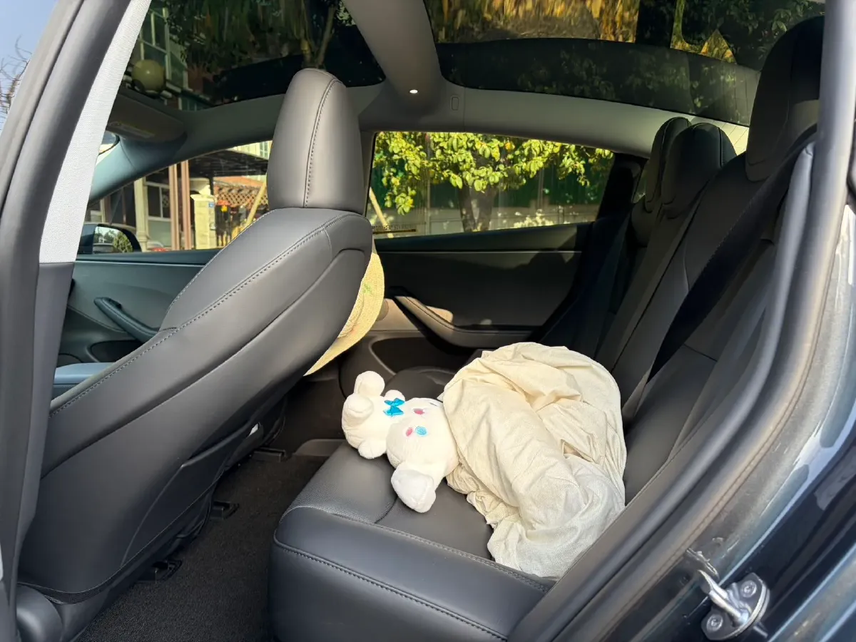 2025 Tesla Model 3 BEV,autocango,china used car exporter,china ev exporter,chinese used car exporter,chinese used ev exporter