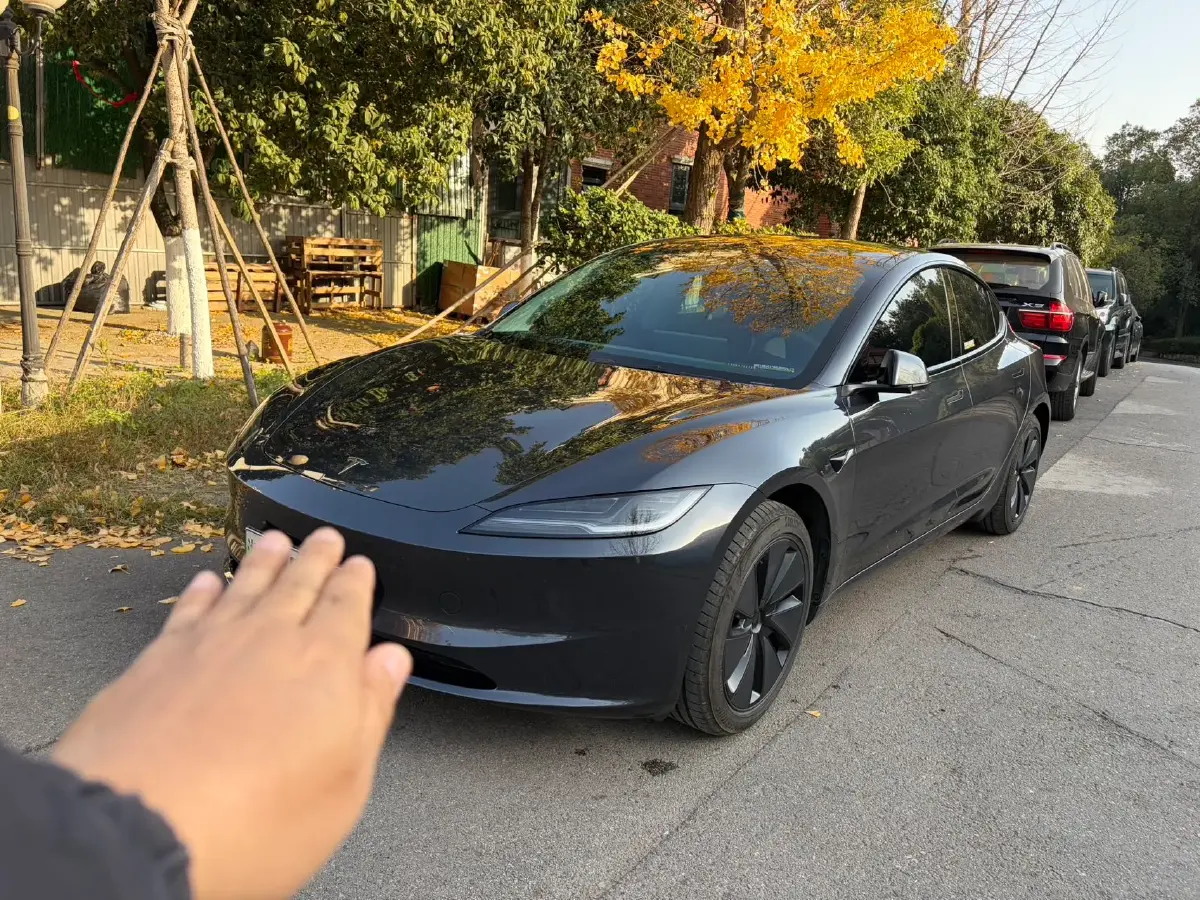 2025 Tesla Model 3 BEV