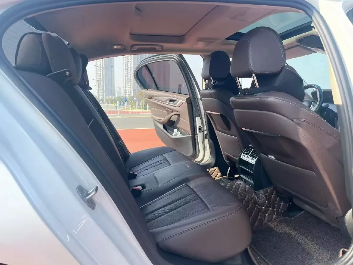 2021 BMW 5 Series 2.0T 252HP L4 8AT,autocango,china used car exporter,china ev exporter,chinese used car exporter,chinese used ev exporter