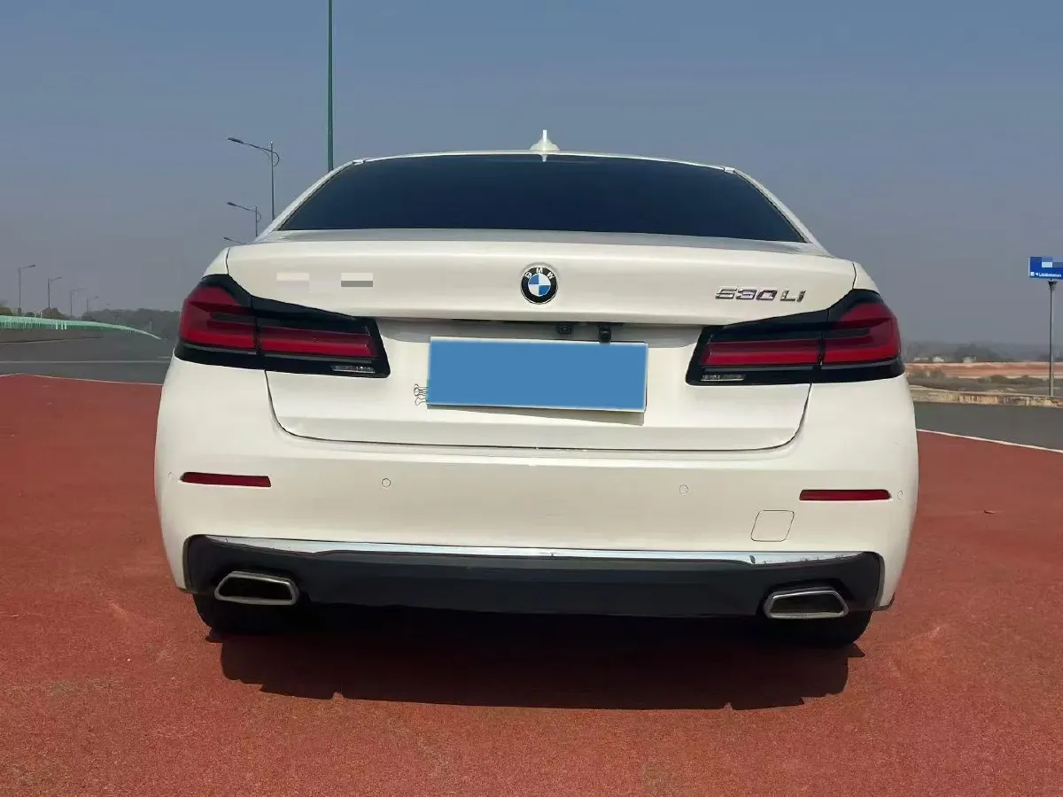 2021 BMW 5 Series 2.0T 252HP L4 8AT,autocango,china used car exporter,china ev exporter,chinese used car exporter,chinese used ev exporter