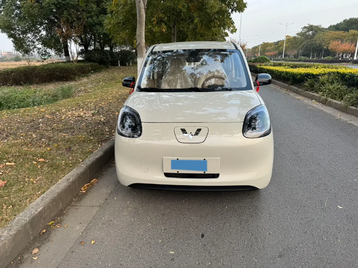 2025 WuLing HongGuang MINI EV BEV 16.2KWH,autocango,china used car exporter,china ev exporter,chinese used car exporter,chinese used ev exporter