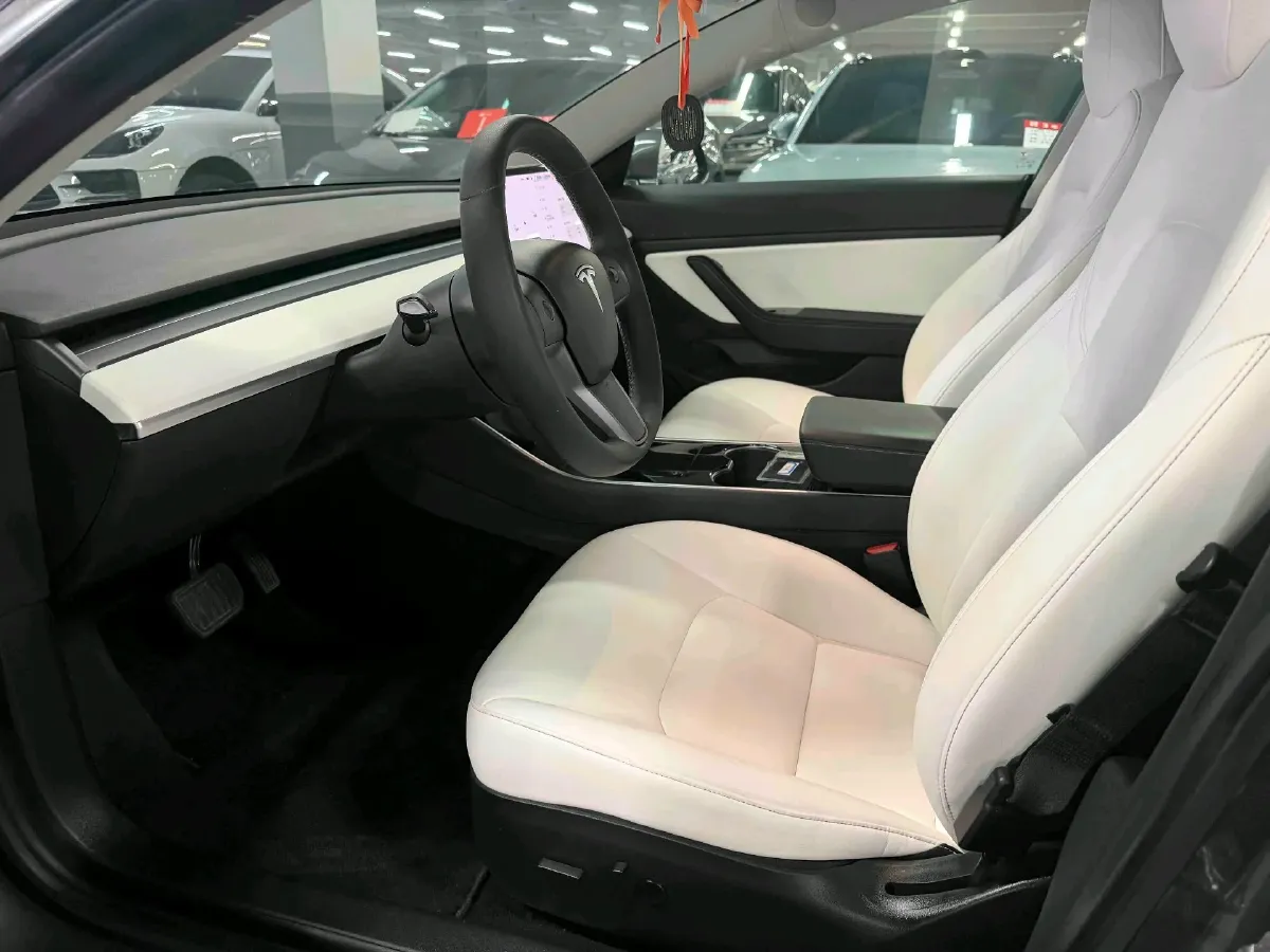2020 Tesla Model 3 BEV 52KWH,autocango,china used car exporter,china ev exporter,chinese used car exporter,chinese used ev exporter