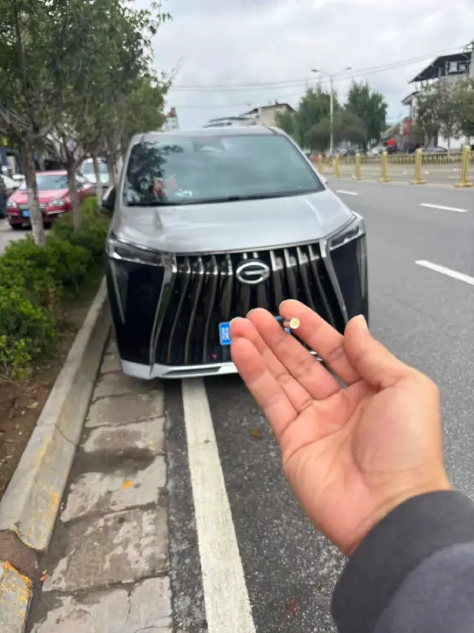 2023 GAC Trumpchi M8 2.0T 252HP L4 8AT,autocango,china used car exporter,china ev exporter,chinese used car exporter,chinese used ev exporter