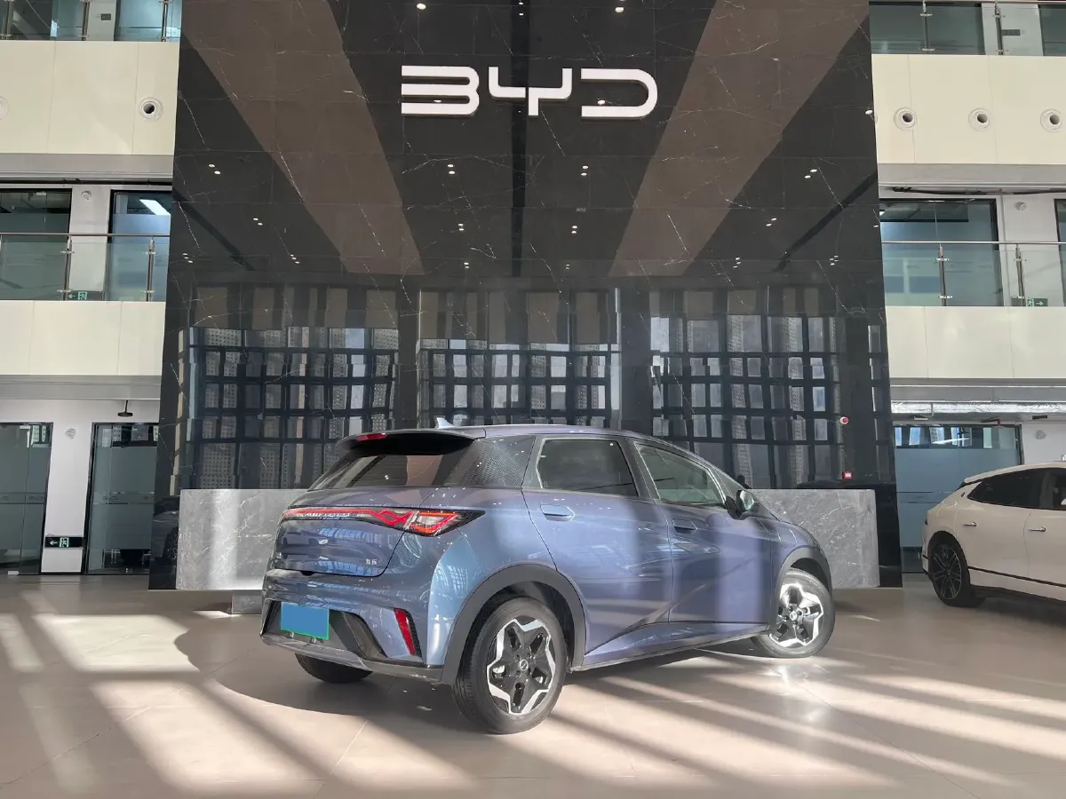 2025 BYD Dolphin BEV 44.928KWH,autocango,china used car exporter,china ev exporter,chinese used car exporter,chinese used ev exporter