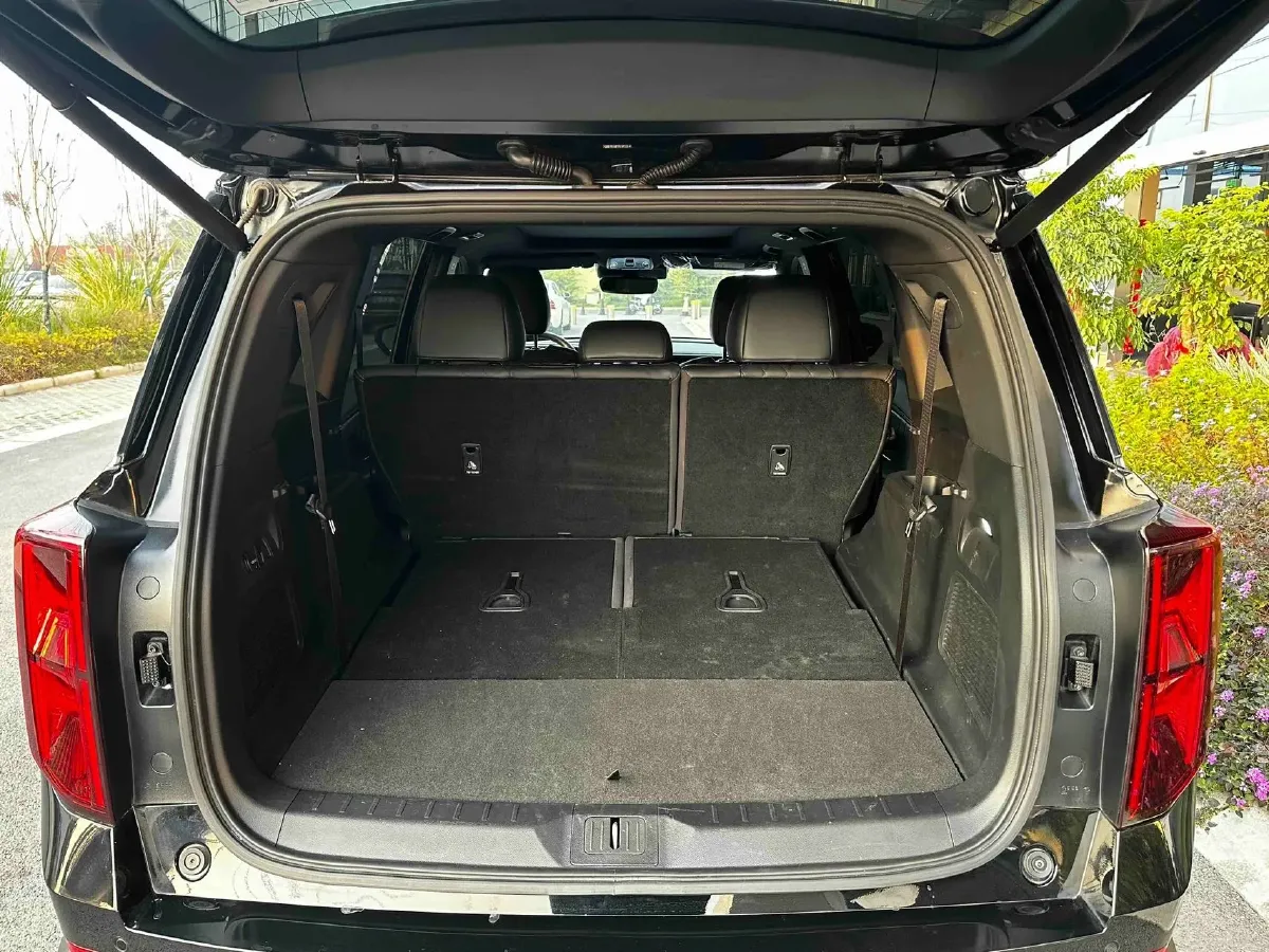 2024 GAC Trumpchi GS8 2.0T 252HP L4 8AT,autocango,china used car exporter,china ev exporter,chinese used car exporter,chinese used ev exporter