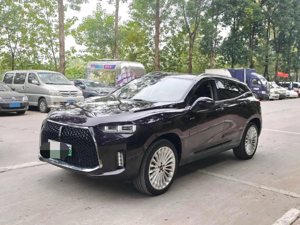 2018 WEY P8 2.0T 234HP L4 6DCT PHEV 12.96KWH