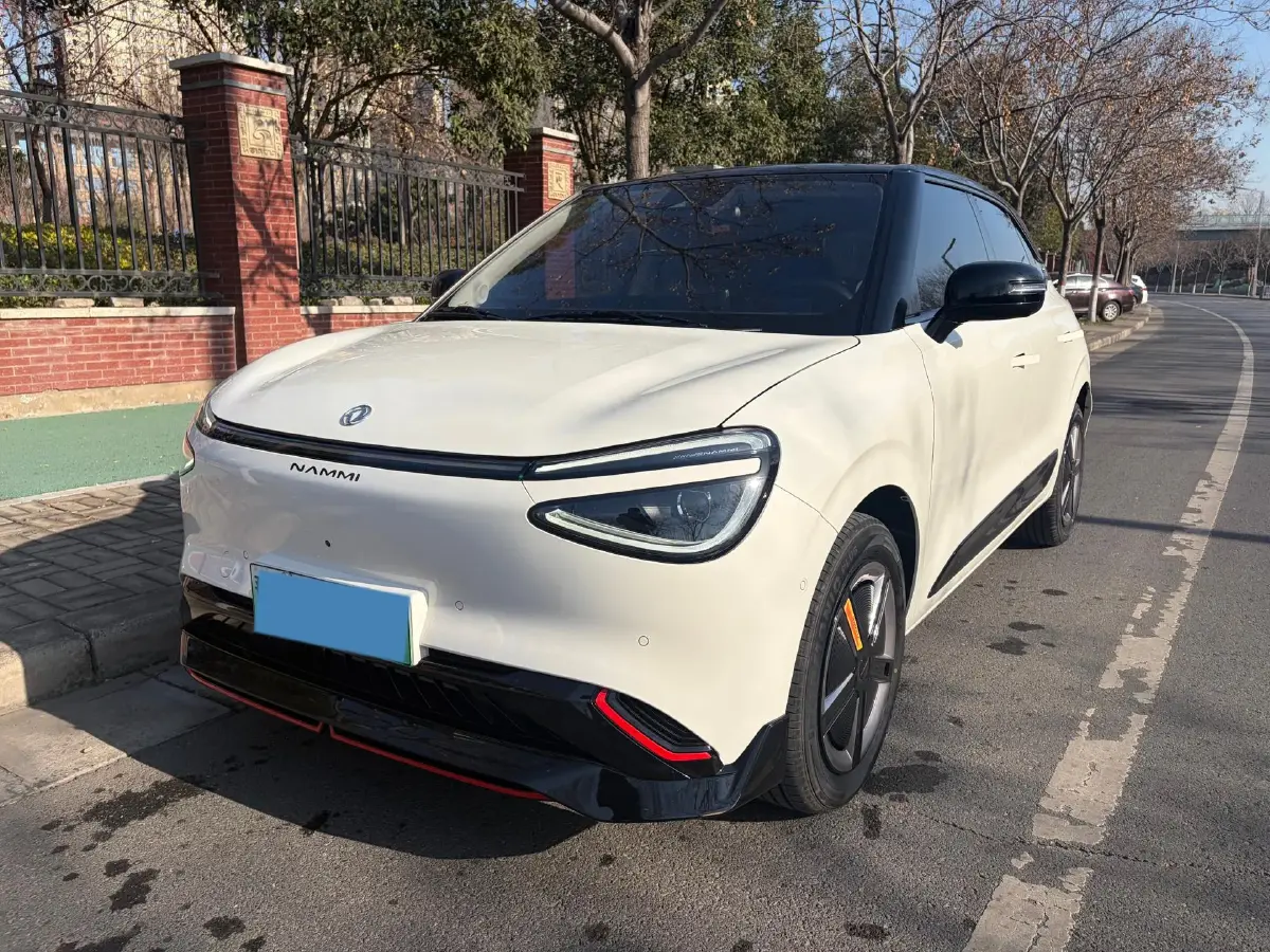 2024 DongFeng Nammi 01 BEV 42.3KWH