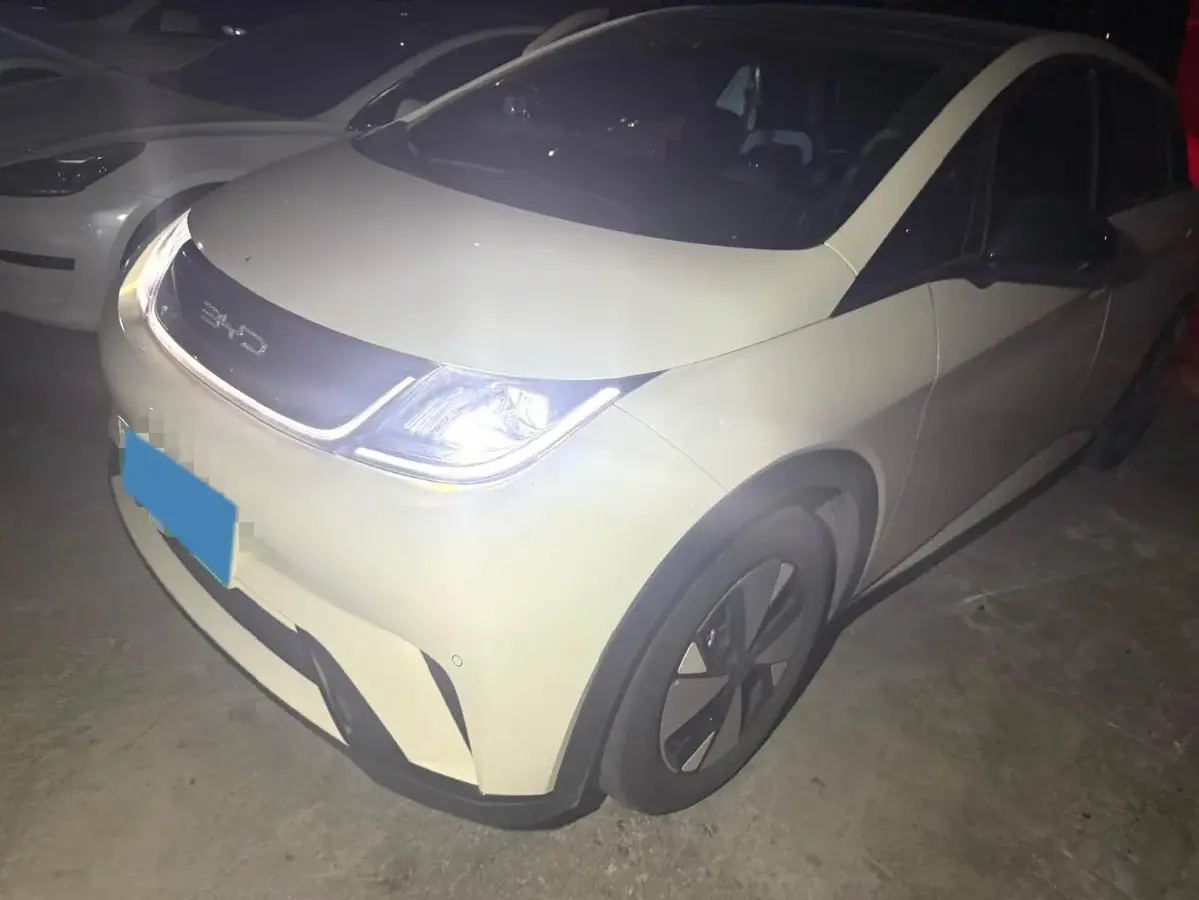 2023 BYD Dolphin BEV 44.928KWH