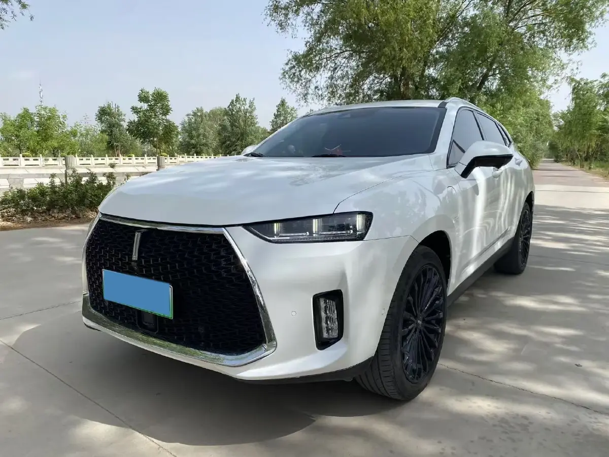 2018 WEY P8 2.0T 234HP L4 6DCT PHEV 12.96KWH