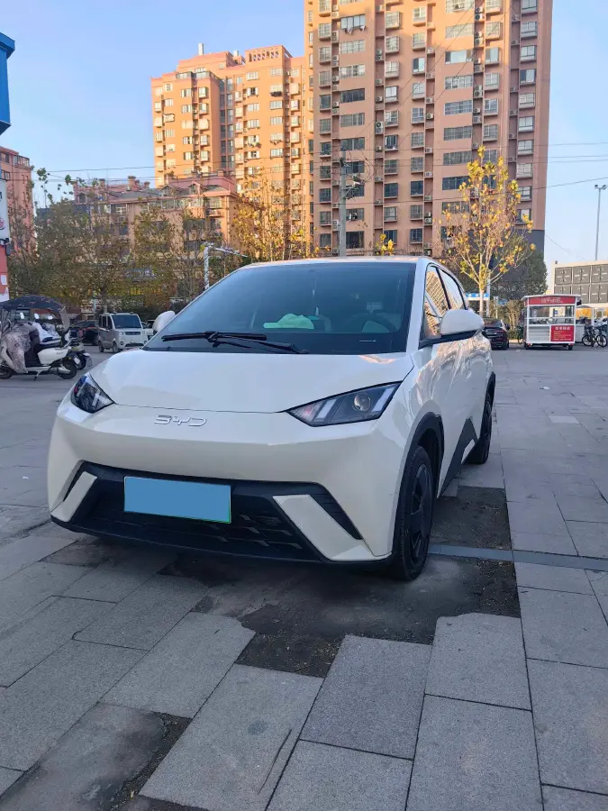 2024 BYD Seagull BEV 30.08KWH