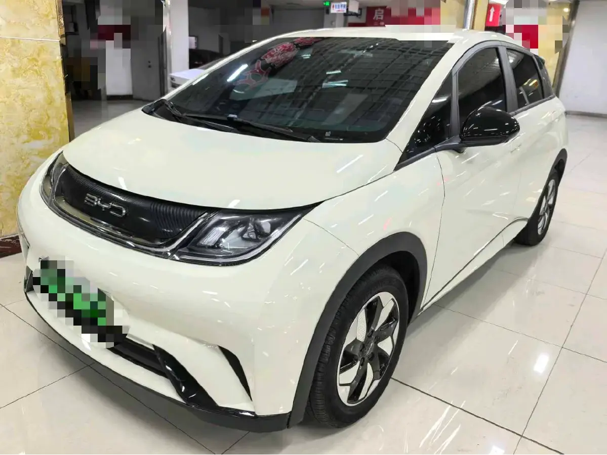 2024 BYD Dolphin BEV 44.928KWH