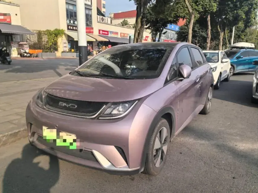 2023 BYD Dolphin BEV 44.928KWH