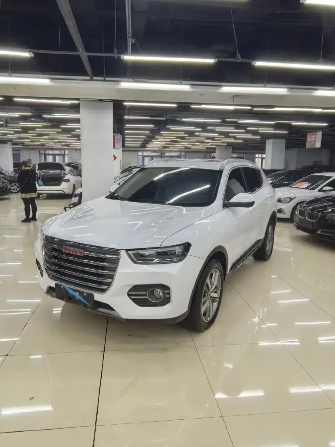 2017 Haval H6 2.0T 197HP L4 7DCT