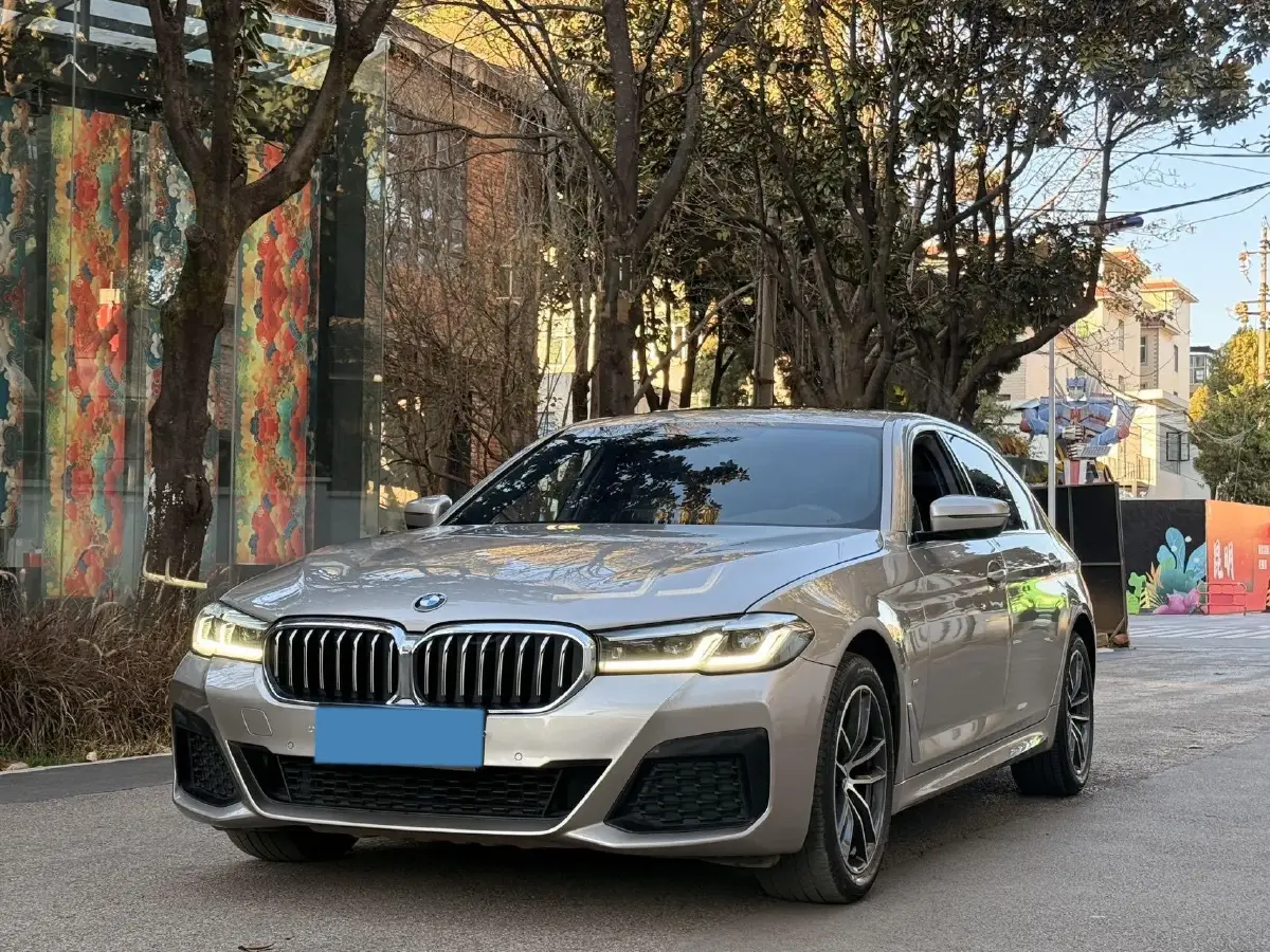 2021 BMW 5 Series 2.0T 184HP L4 8AT