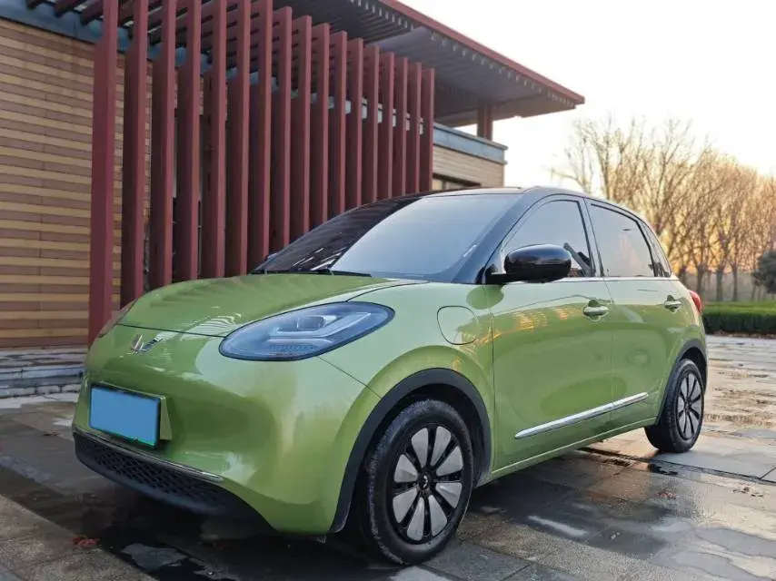 2023 WuLing BinGuo BEV 37.9KWH