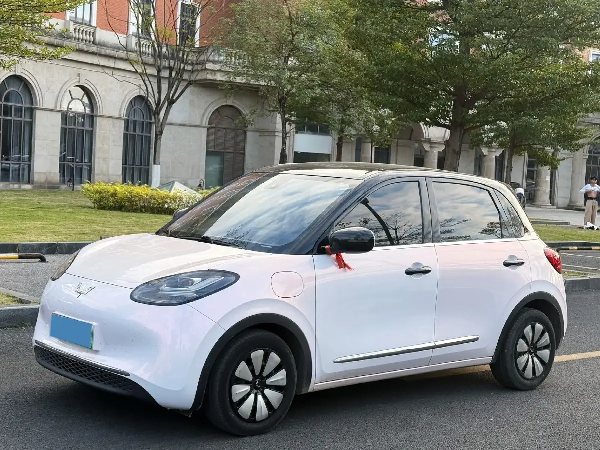 2023 WuLing BinGuo BEV 31.9KWH