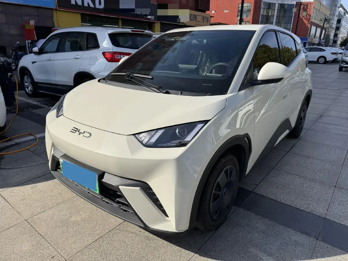 2025 BYD Seagull BEV 30.08KWH