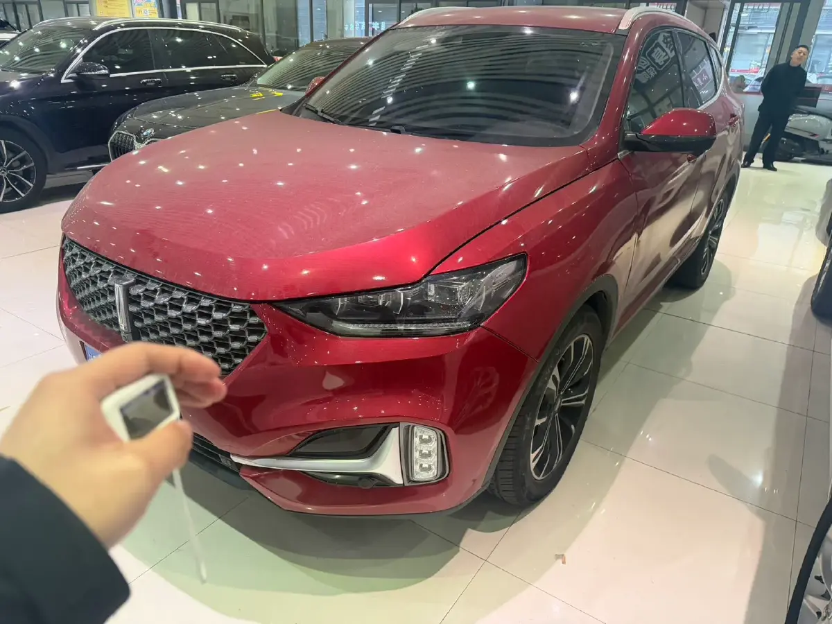 2021 WEY VV6 2.0T 227HP L4 7DCT