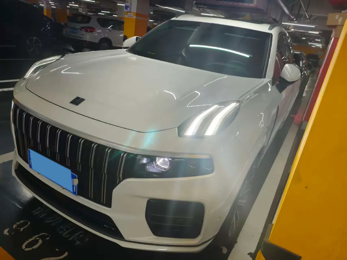 2024 LYNK&CO 09 2.0T 254HP L4 8AT,autocango,china used car exporter,china ev exporter,chinese used car exporter,chinese used ev exporter