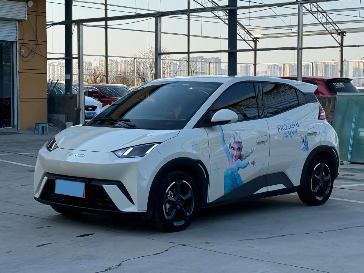 2023 BYD Yuan Pro BEV 38KWH