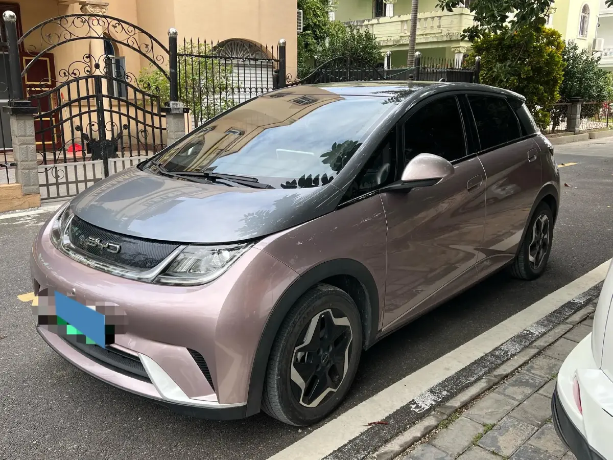 2021 BYD Yuan Pro BEV 50.1KWH