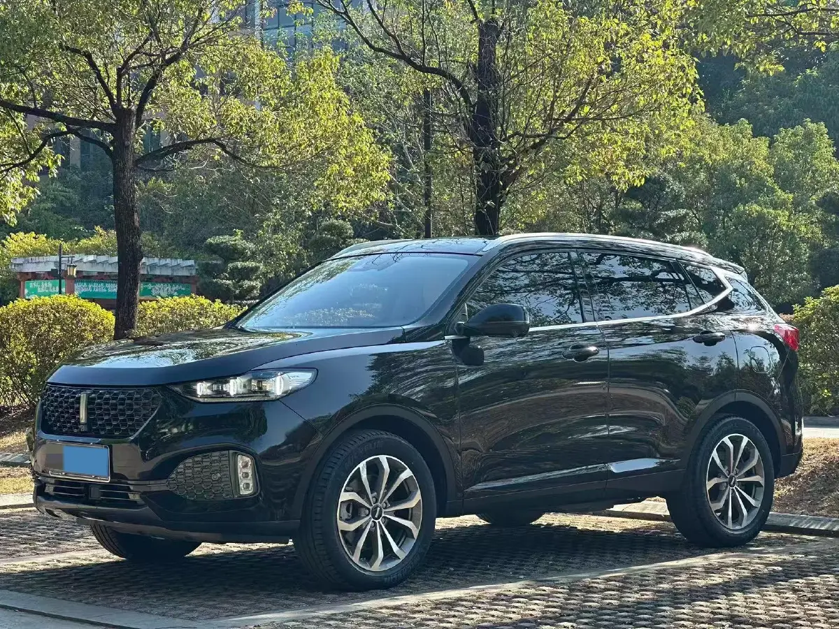 2020 WEY VV6 2.0T 227HP L4 7DCT