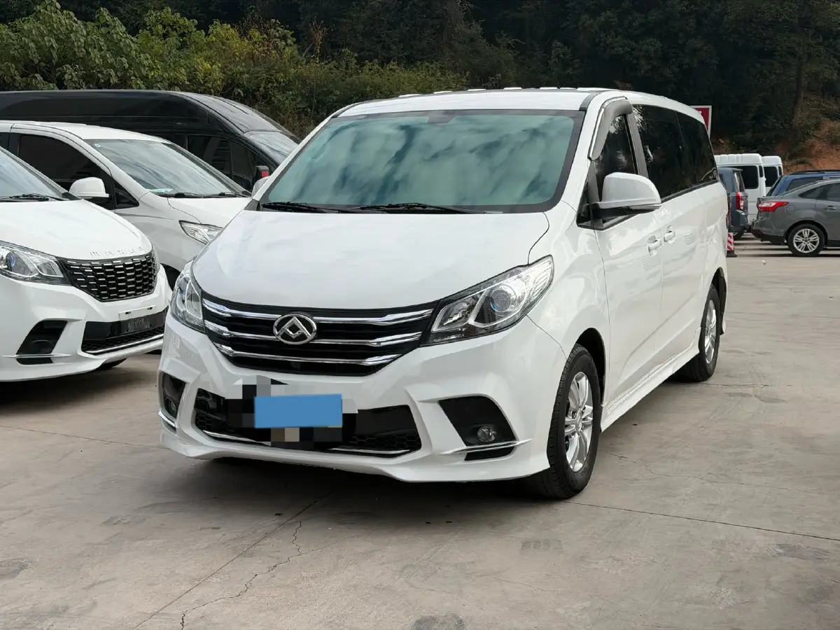 2021 MAXUS G10 2.0T 163HP L4 6MT