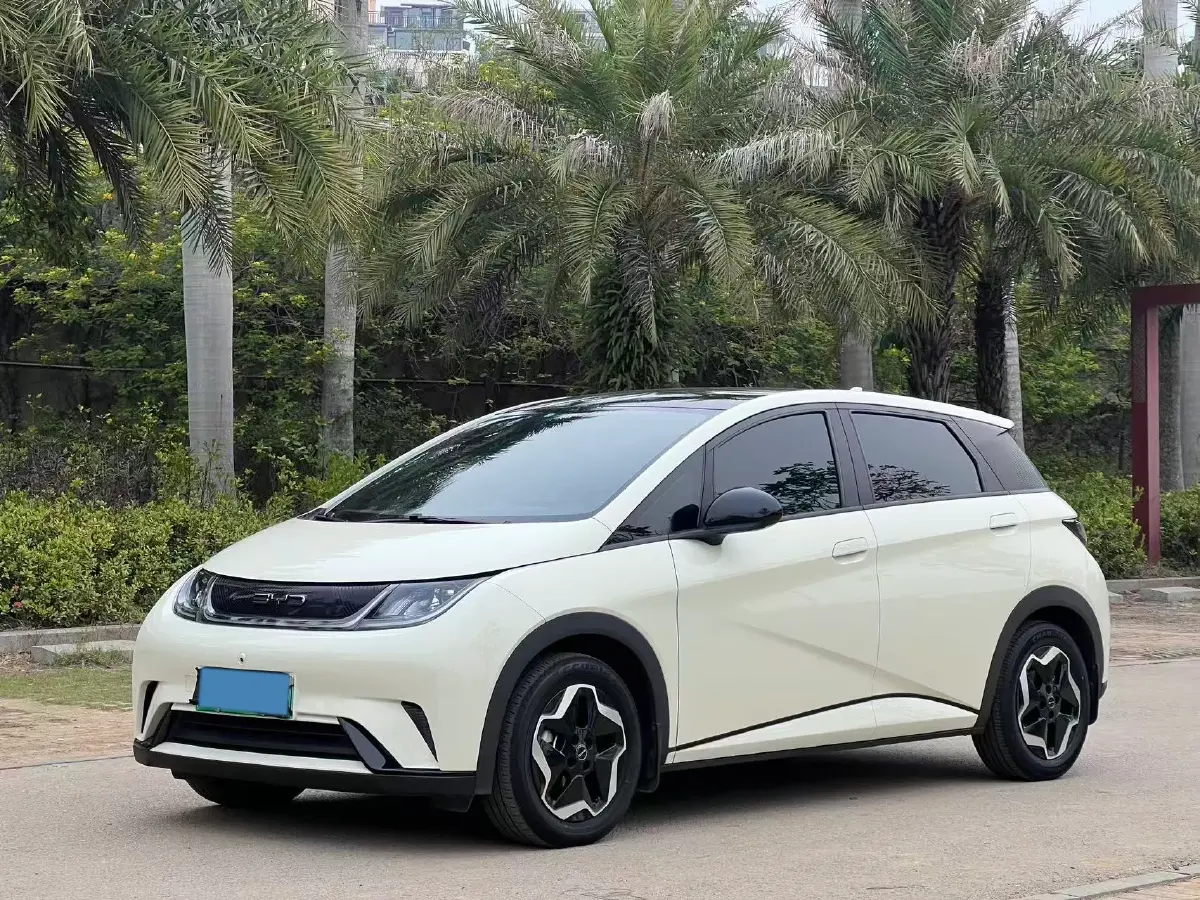 2021 BYD Yuan Pro BEV 50.1KWH