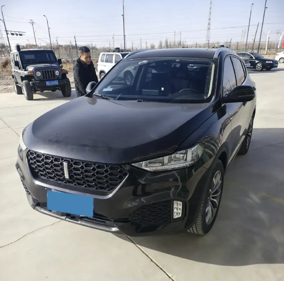 2018 WEY VV6 2.0T 197HP L4 7DCT